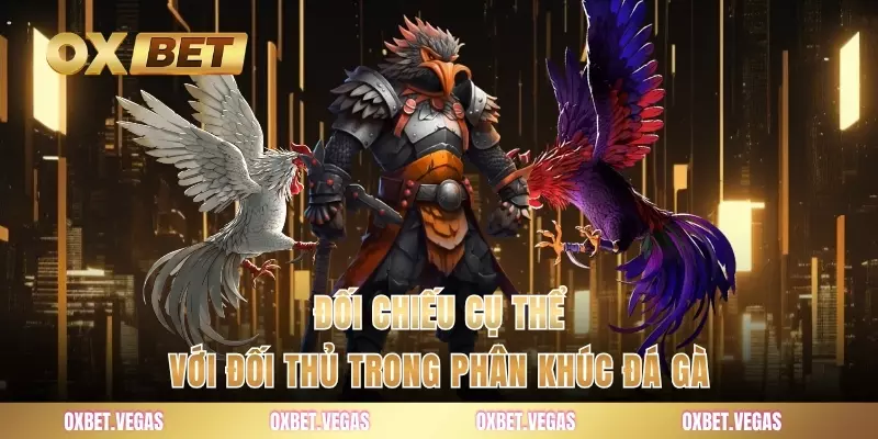Đối chiếu cụ thể với đối thủ trong phân khúc đá gà